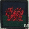Royal Welsh Regiment, headquarters personnel img33299