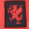 1st Battalion The Royal Welsh ( Royal Welch Fusiliers ) img33294