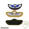 Parachute Qualified Wings. Top Special Air Service. Bottom two Special Boat Service
