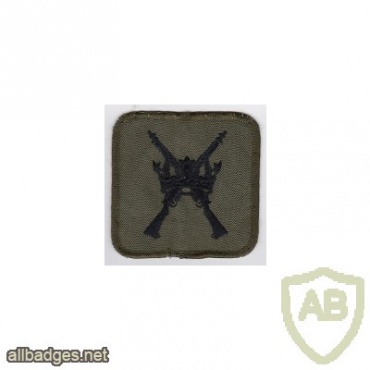 Royal Air Force Regiment patch img33417