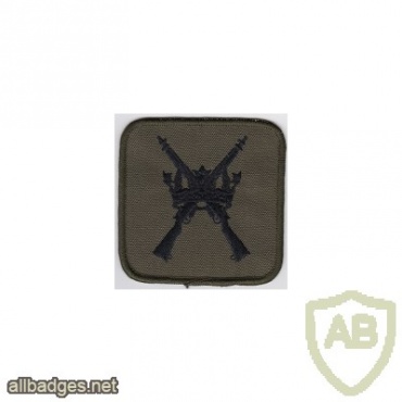 Royal Air Force Regiment patch img33416