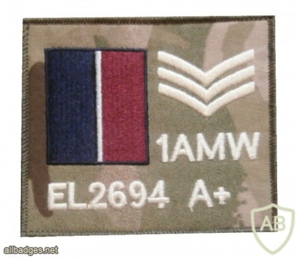 Field identifier Zap badge img33407