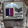 Field identifier Zap badge img33408