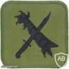 RAF 48th Squadron Claw & Bayonet