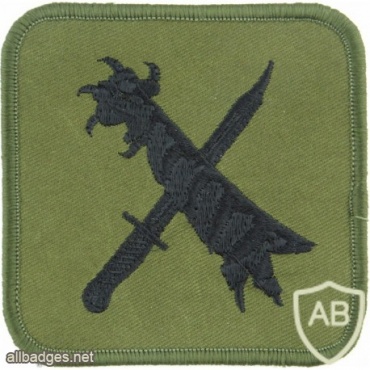 RAF 48th Squadron Claw & Bayonet img33449