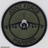 RAF 1st Squadron Joint Force Harrier PI