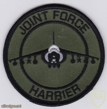 RAF 1st Squadron Joint Force Harrier PI img33445