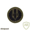 Royal Air Force bomb disposal operatives badge img33456