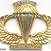 EL SALVADOR Reserve parachutist wings img33495