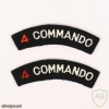 4 Commando title
