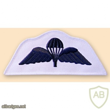 Parachute Regiment qualified wings. Royal Navy. img33554