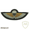SBS Special Boat Service parachute qualification wings
