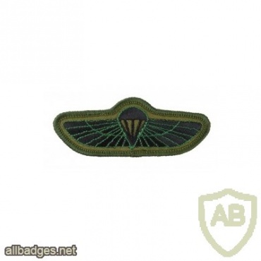 SBS Special Boat Service parachute qualification wings img33575