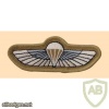 SBS Special Boat Service parachute qualification wings img33574