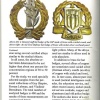 Research of IDF hat badges material and it's changes with time img33723
