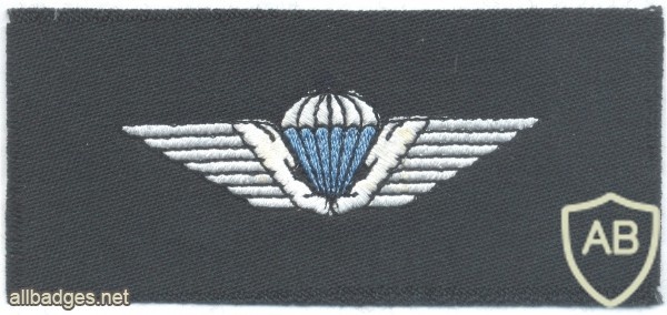 DENMARK Army Basic parachute wings, silver on dark blue cloth img33713