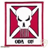 10th Mountain Special Forces Group Operational Detachment Alpha ODA-015 Patch img33714