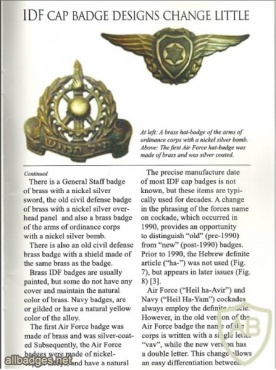 Research of IDF hat badges material and it's changes with time img33724