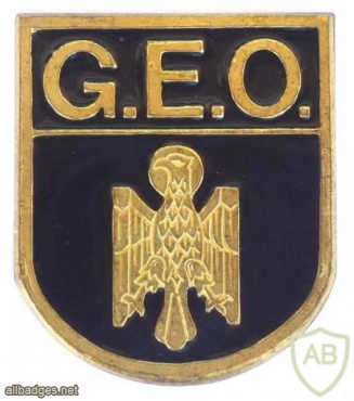 SPAIN National Police Special Operations Group (GOE) breast badge img33762