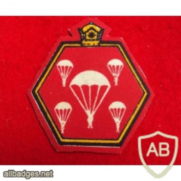 IRAN 55th Airborne brigade patch img33763