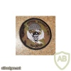 1ST SPECIAL FORCES TEAM PATCH, ODA 1321