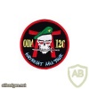 ODA 126 Co B 1st Battalion