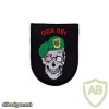 ODA 061 Co C 3rd Battalion 10th Mountain Special Forces