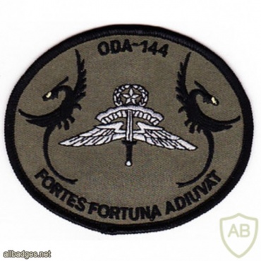 ODA 144 Patch United States ARMY Co A 2nd Battalion 1st Special Forces Group Airborne img33996