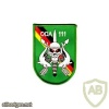 ODA 111 1st Special Forces Group Co A 1st Battalion 