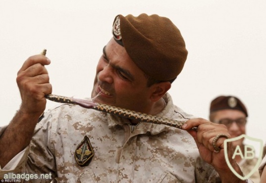 LEBANON Army Commando qualification cloth badge img34020