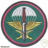 CZECH REPUBLIC 102nd Reconnaissance Battalion parachutist patch, full color