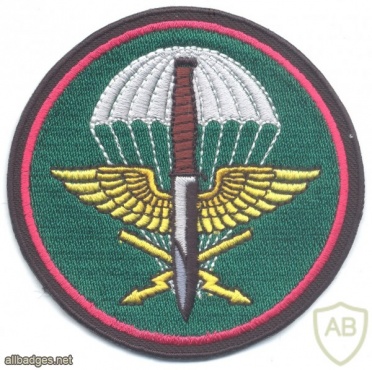 CZECH REPUBLIC 102nd Reconnaissance Battalion parachutist patch, full color img34024