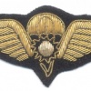 TAIWAN Republic of China (ROC) Army Parachute wings, bullion img34043