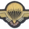 FRANCE Freefall (HALO - High Altitude Low Opening) para wings, bullion