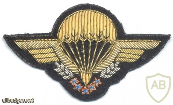 FRANCE Freefall (HALO - High Altitude Low Opening) para wings, bullion img34042