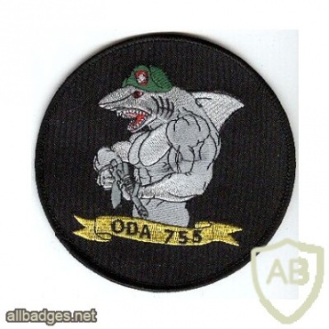 ODA-755 B Company, 2nd Battalion  img34135