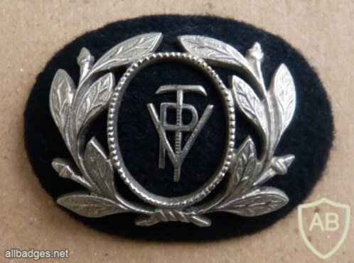 Portugal Traffic Police badge, type 5 img34160