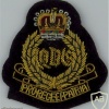 UK 1st The Queen's Dragoon Guards, bullion mess dress img34173