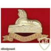 Lincolnshire regiment cap badge