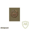 UK Gloucestershire Regiment, back cap badge