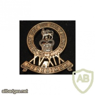 15th/19th The King's Royal Hussars cap bade, Queen's crown img34293