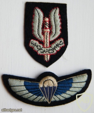 SAS beret badge, cloth img34317
