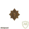 29th (The Worcestershire) Regiment collar badge