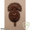 Northumberland Fusiliers cap badge img34328