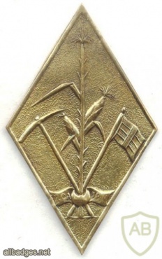 CENTRAL AFRICAN REPUBLIC Army cap beret badge, gold, 1980s img34355