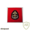 48 Brigade Far East Land Forces, 49th regiment, Cloth Wire Blazer Badge