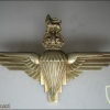 UK Parachute regiment cap badge
