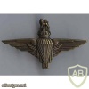 UK Parachute regiment cap badge img34409