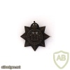 Devonshire Regiment cap badge 1, King's crown