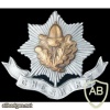 Cheshire regiment cap badge, WWI